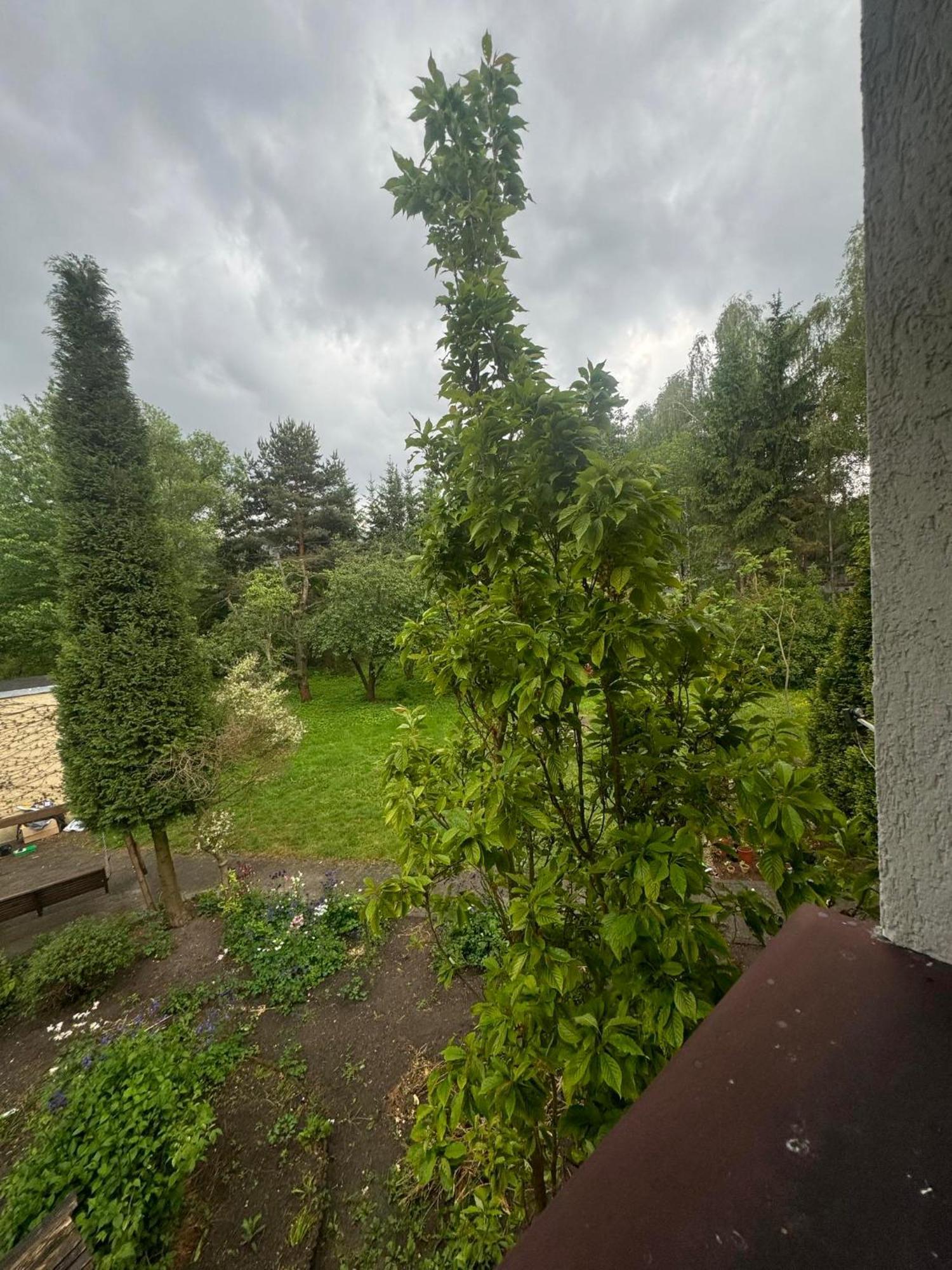 Zielony Zakatek Piechowice  Cameră foto